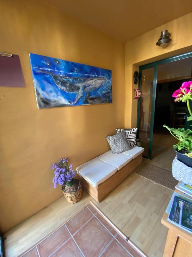 Casa Loureal Ribeira Sacra Оренсе Екстер'єр фото